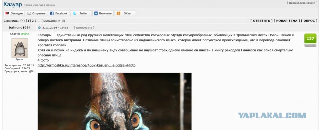 Очень опасная птичка