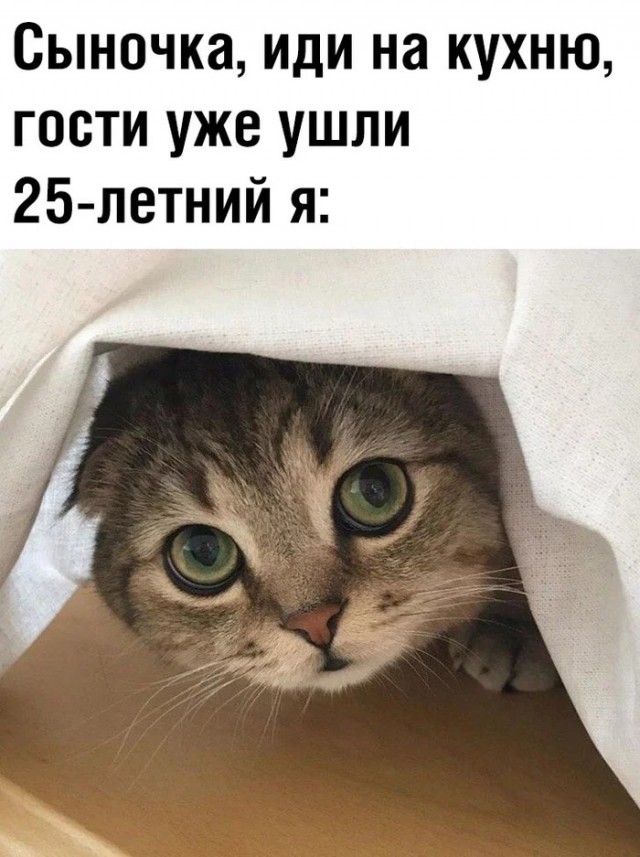 Картинки и мемы для настроения 02.02.2022