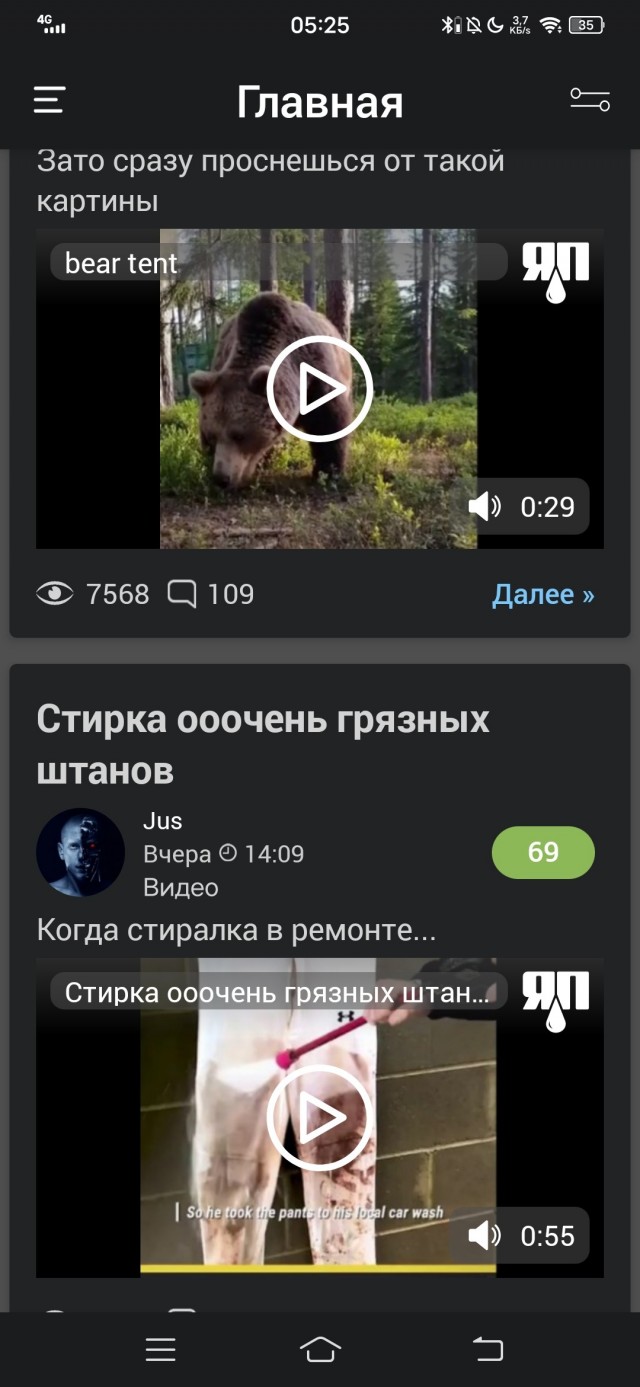 Хочешь утром вылезти из палатки, а там... медведь