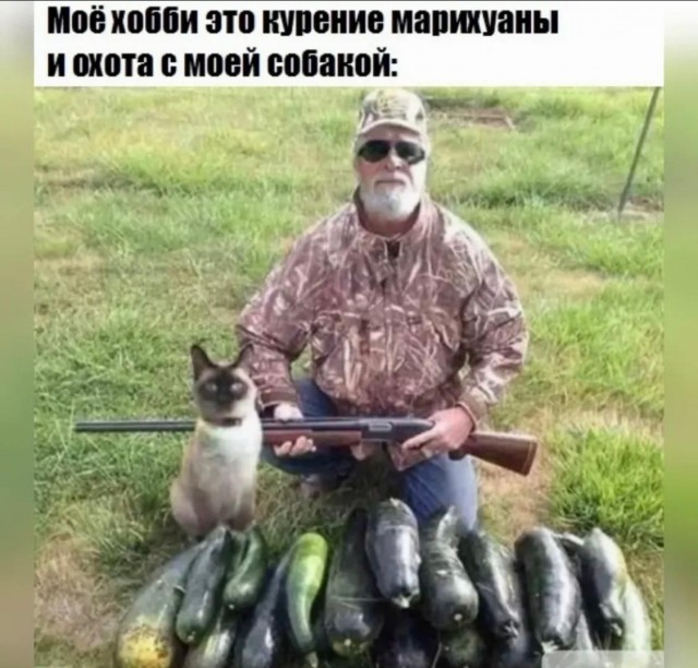 Одной картинки пост