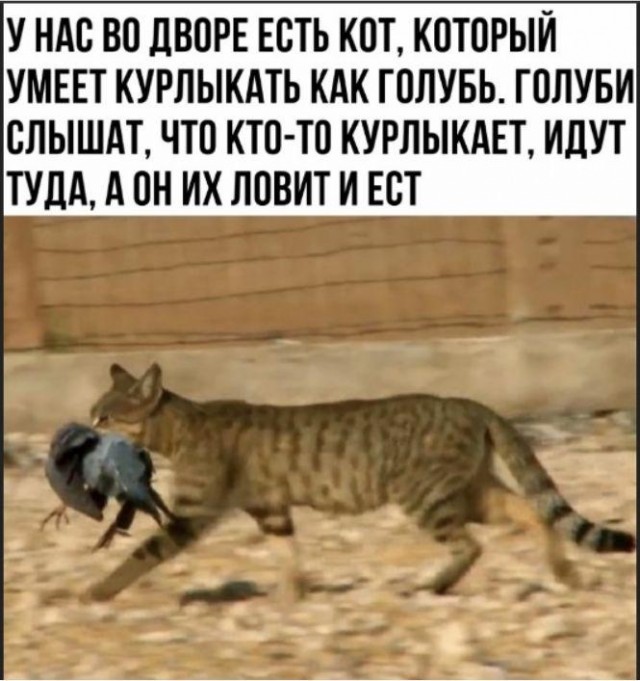 Так себе картинки 17.06.22
