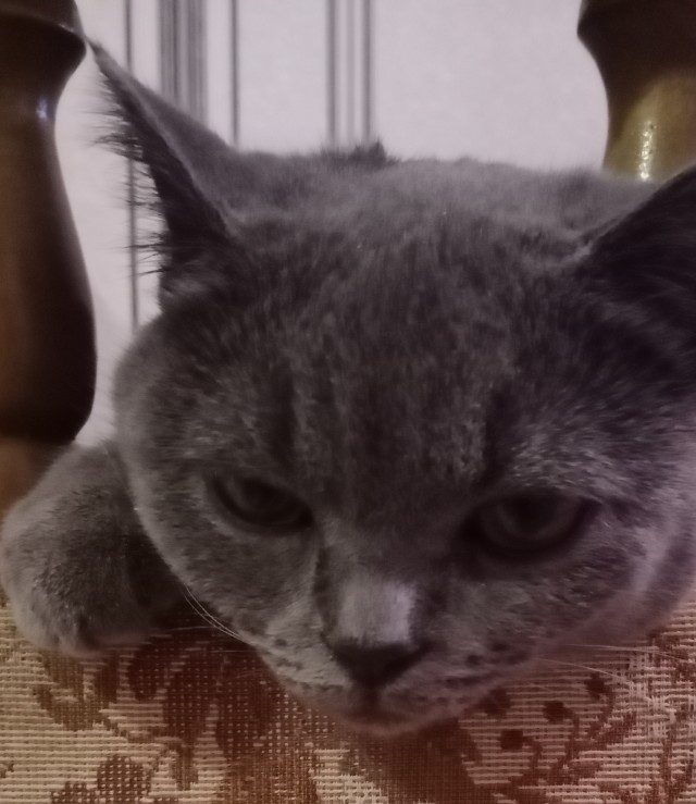 Как я стал рабом дважды
