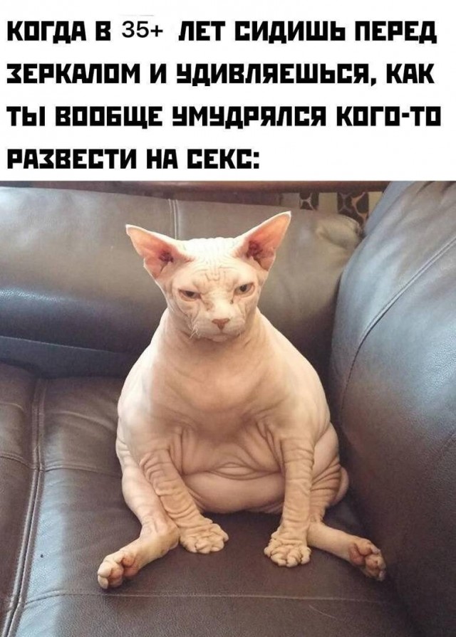 Юмор в картинках и без
