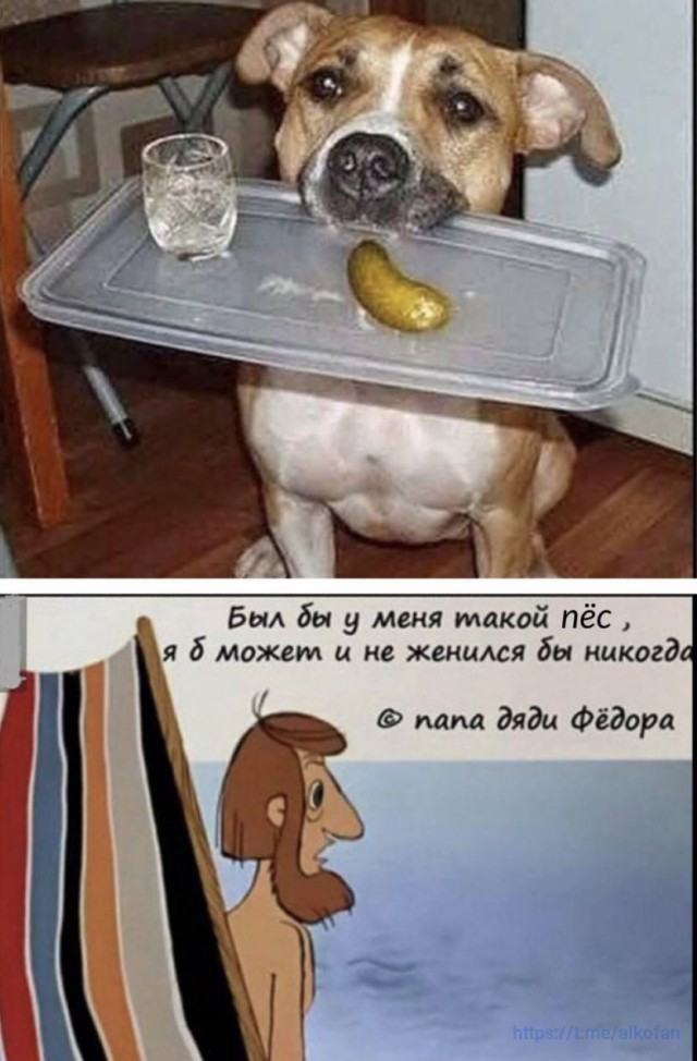 Алкогольные картинки