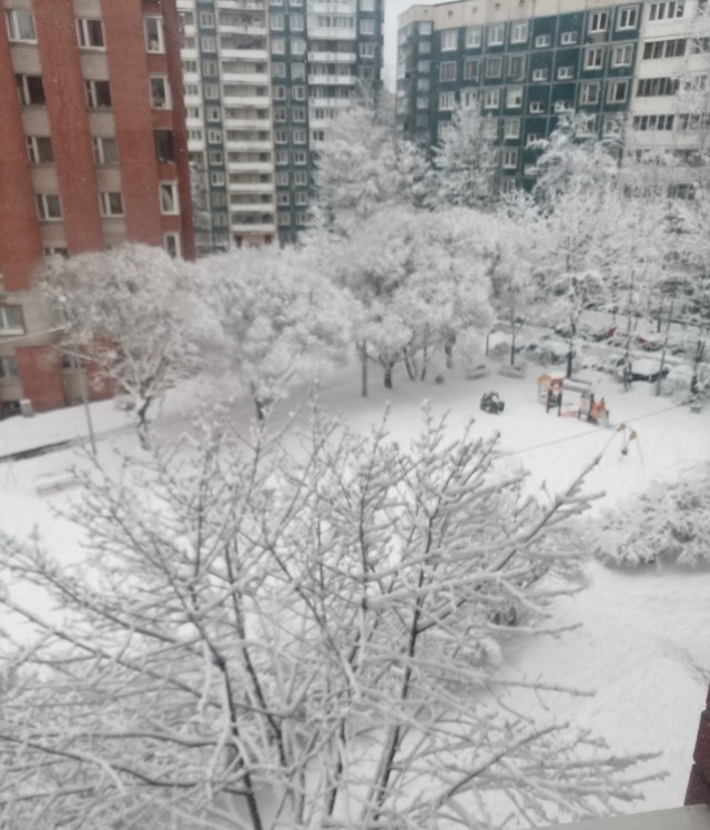 И у нас весна!