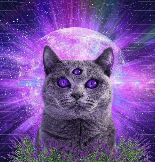 Нуштош 28.07.2023