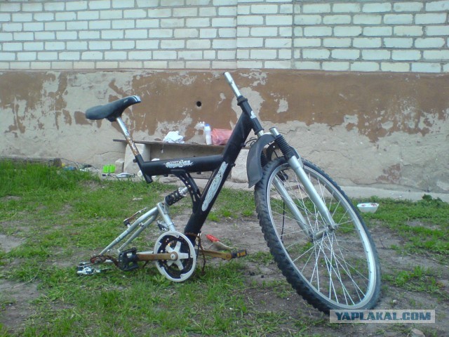 Велик за 1600