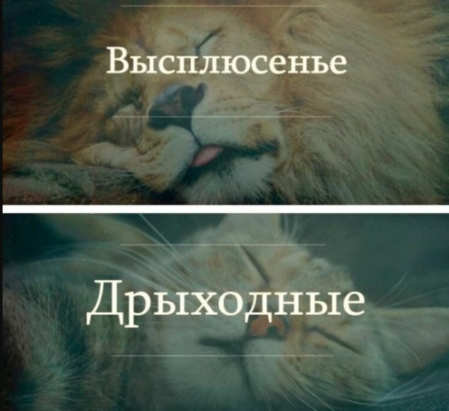 Нуштош 11.09.2023
