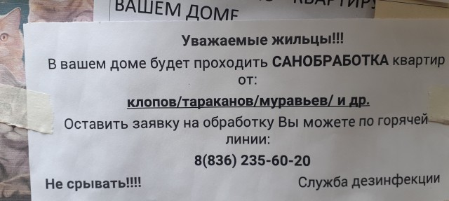 Жители задержали дезинсекторов и по подозрению в подбросе тараканов