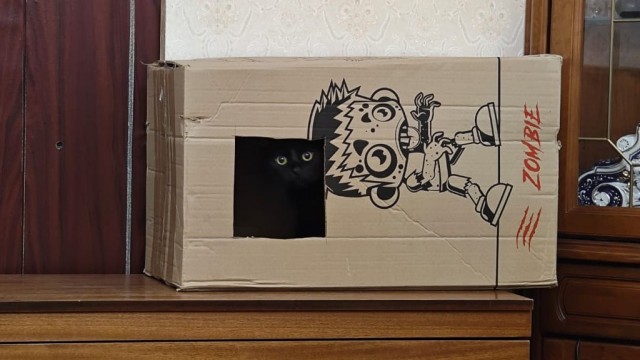Кошкин дом