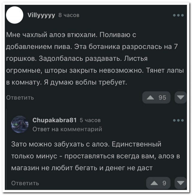 Забавные комментарии из социальных сетей (05.02.24)