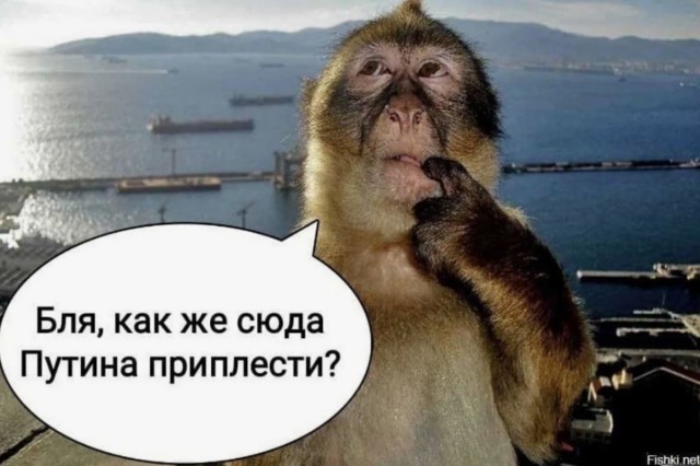 Кемеровский романтик, прискакавший в квартиру к жене на белом коне, отправлен под арест — его арестовали на одни сутки за мелкое хулиганство