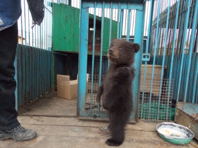 По прозвищу Тихон