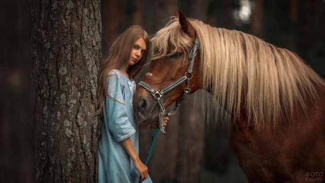 ФотоВинегрет