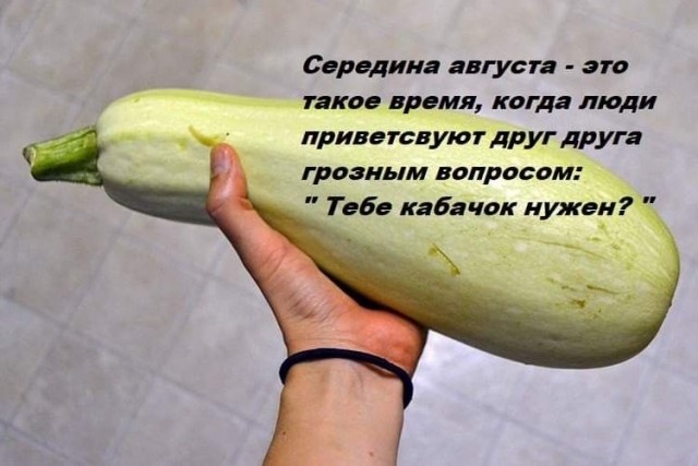 Началось!
