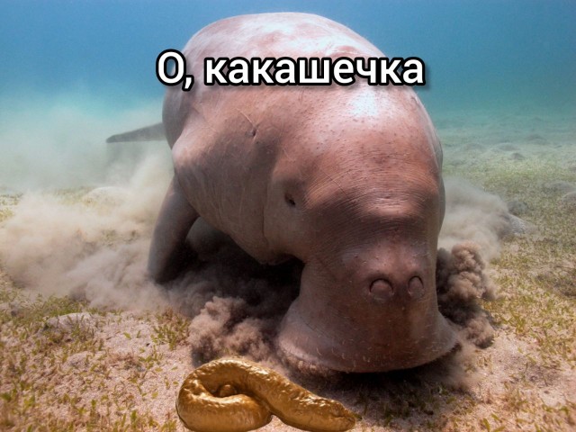Работа в море. Карибский бассейн