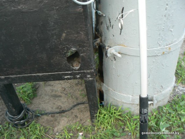 Трогательная история о спасении котенка