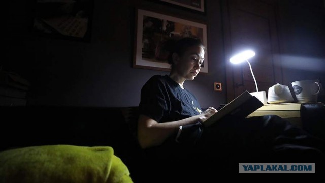 О пользе регулярного чтения книг для мозга