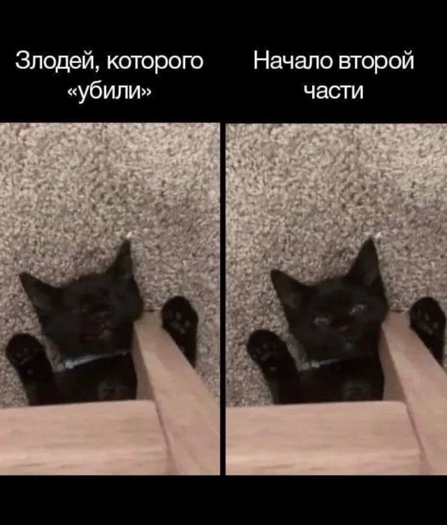 Весёлый полтишок 18.03.2025