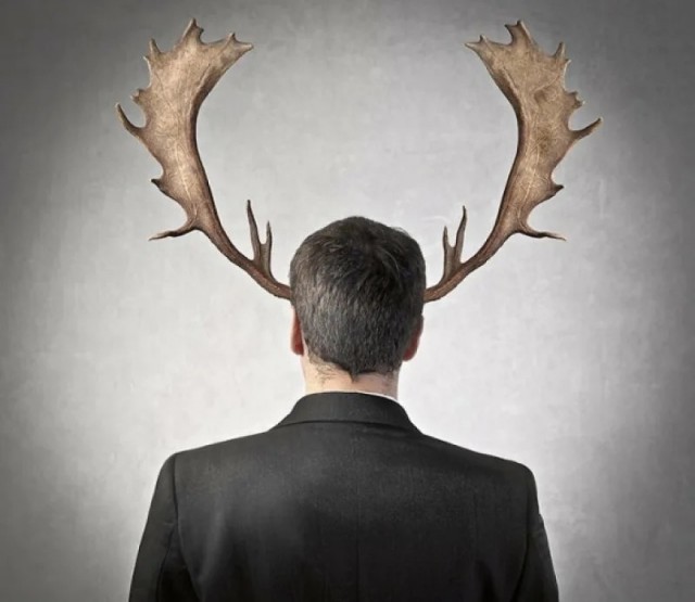 Рога и разборки