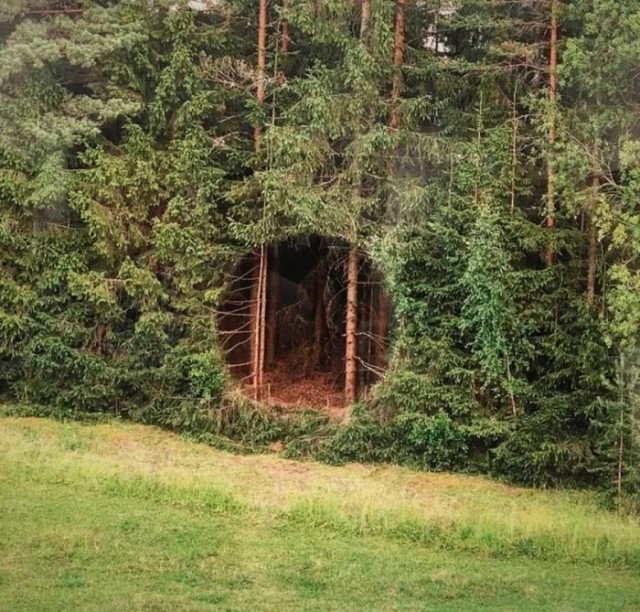 «Хмм»-изображения ч.2