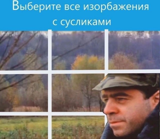 Веселые картинки в пятницу (30.05)