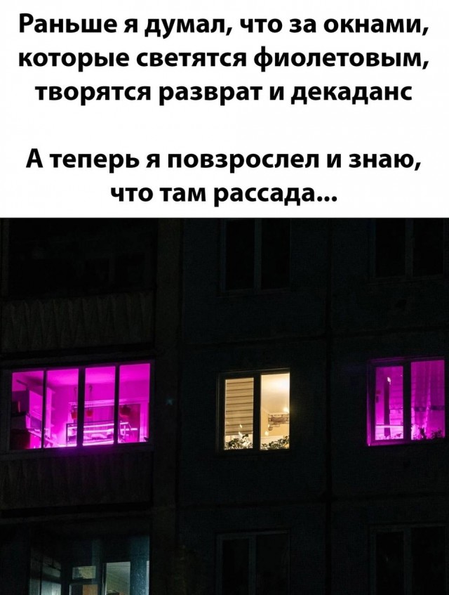 Немного картинкафф для настроения (баяны-перебаяны)