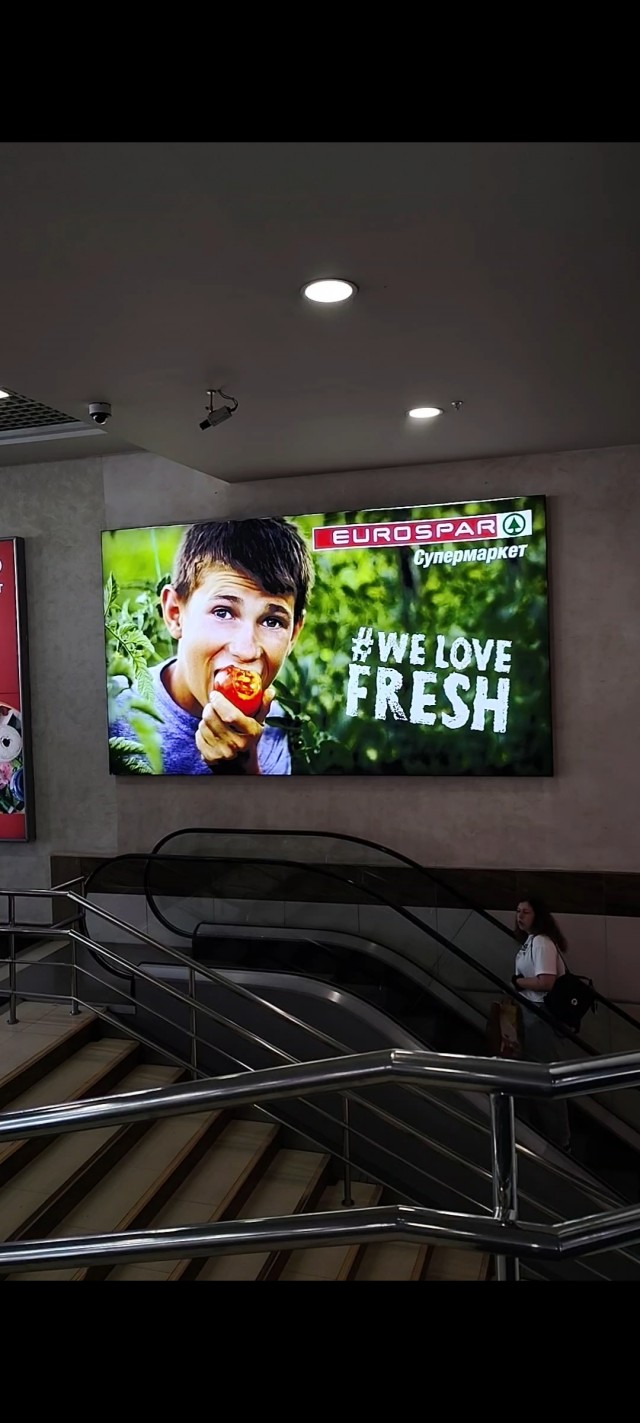 В Нью-Йорке полиция теперь остановила Эрдогана