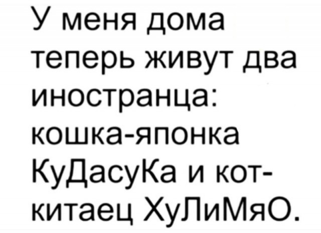 Чучуть картинок разных