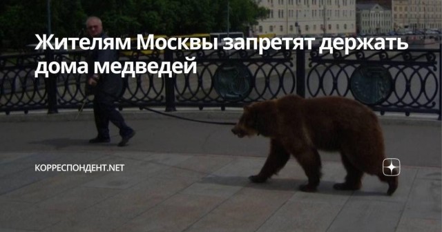 Засилье медведей в Подмосковье
