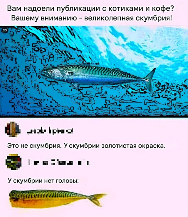 Картинки пятничные