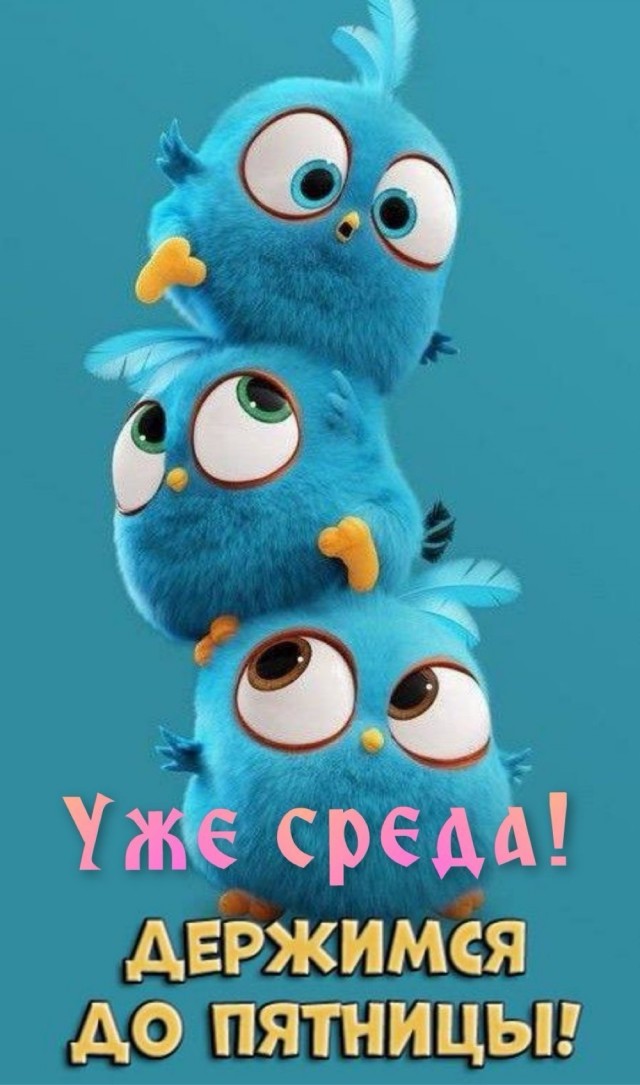 Среды картинки