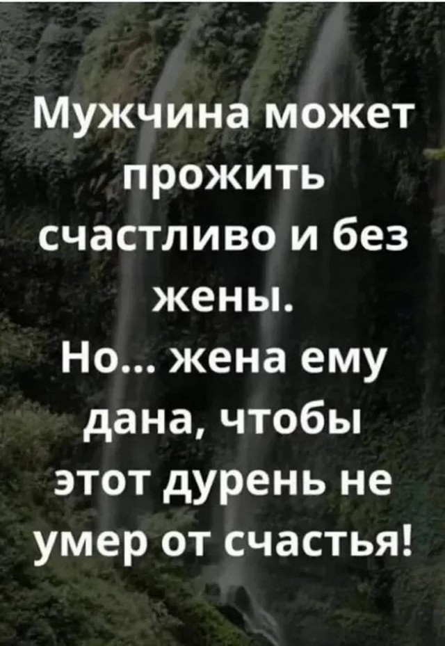 Картинки для деградации 110 (разной степени свежести)
