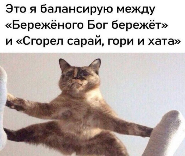 Картинки для деградации 152 (разной степени свежести)