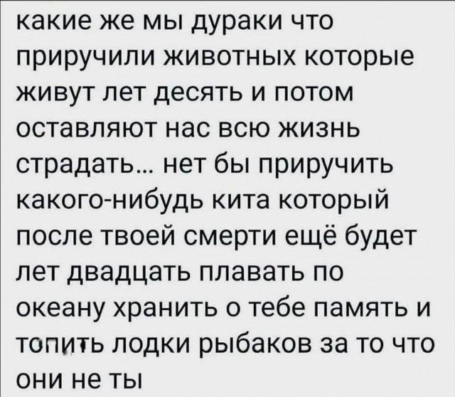 Дегрономикон 15