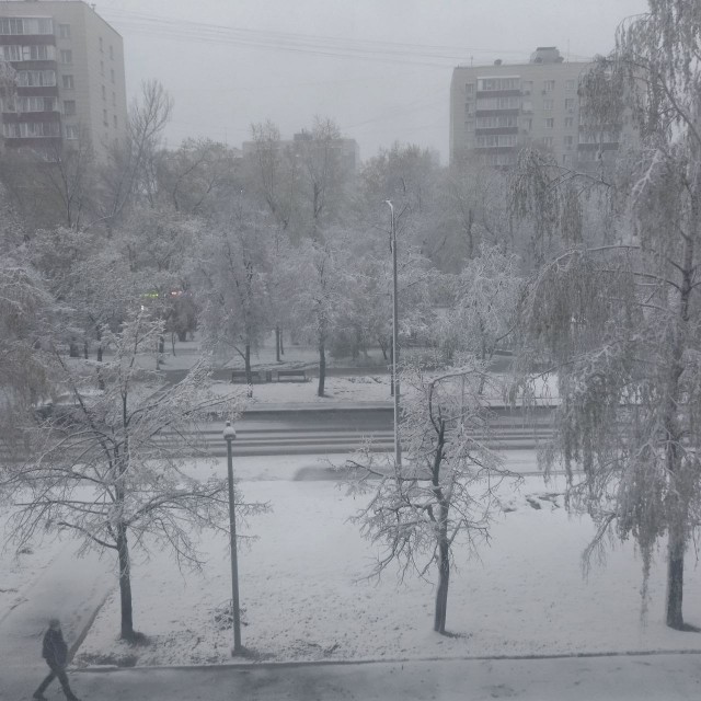 Литературное заведение "Буквица"
