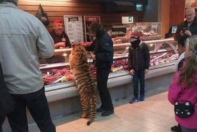 Ешь мясо, мясо, мясо