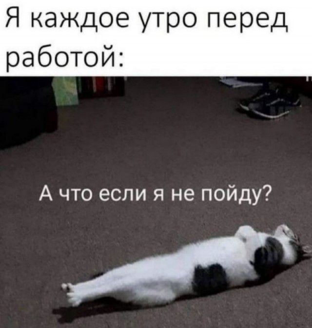 Веселые картинки в понедельник (29.06)