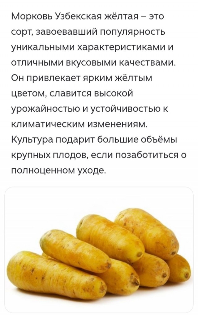 Морковь соломкой