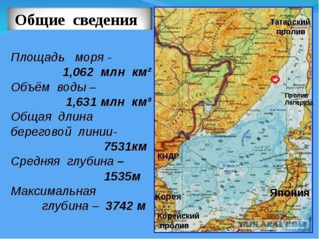 Не, ну вы чего, не надооооо! (c) собакен