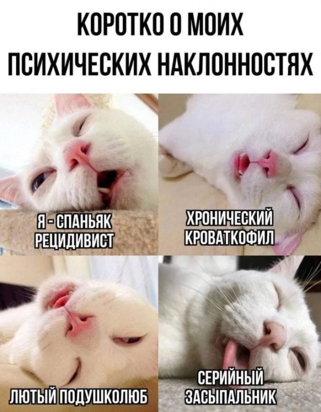Картинки для деградации 282 (разной степени свежести)
