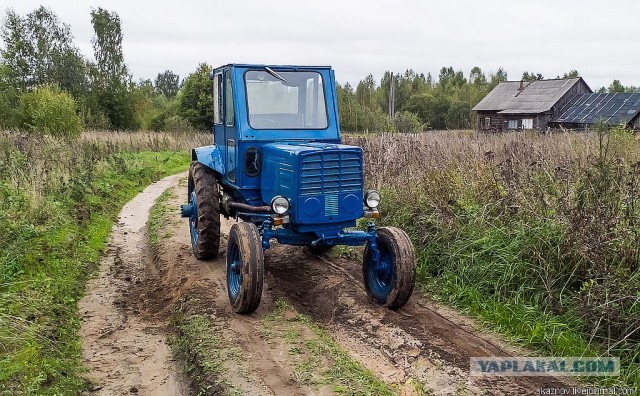 Экстримальная поездка за грибами.