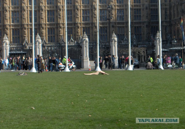 Как я в Англии практику проходил.