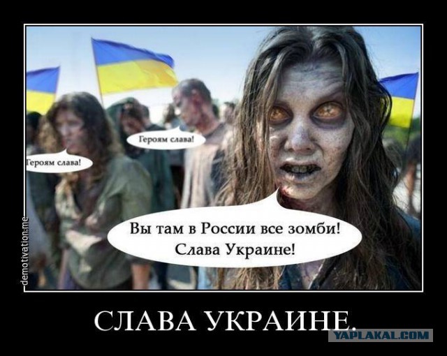 Сводки от Стрелкова Игоря Ивановича