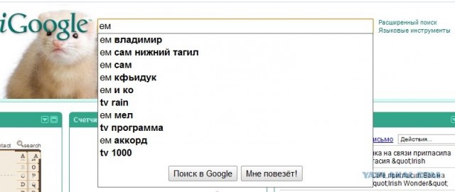 Что едят ищущие на яндексе.