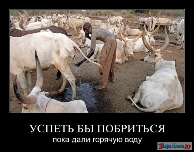 Смертельный вирус эболы в Испании