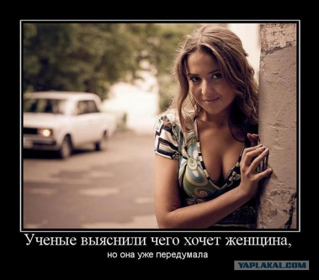 Весёлое из сети