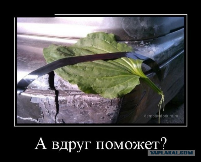 Улыбнемся в понедельник!