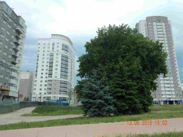 Несвижский замок