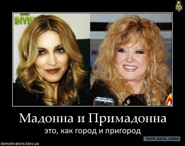 Мадонна Послала На Х*й российский бомонд
